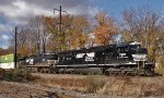 NS 1819 on 20Q